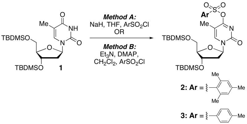 SCHEME 1