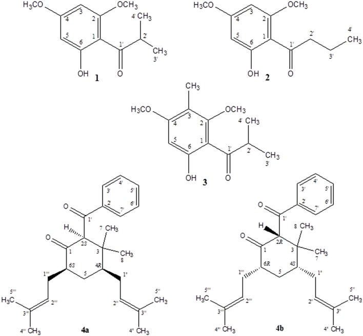 FIGURE 1