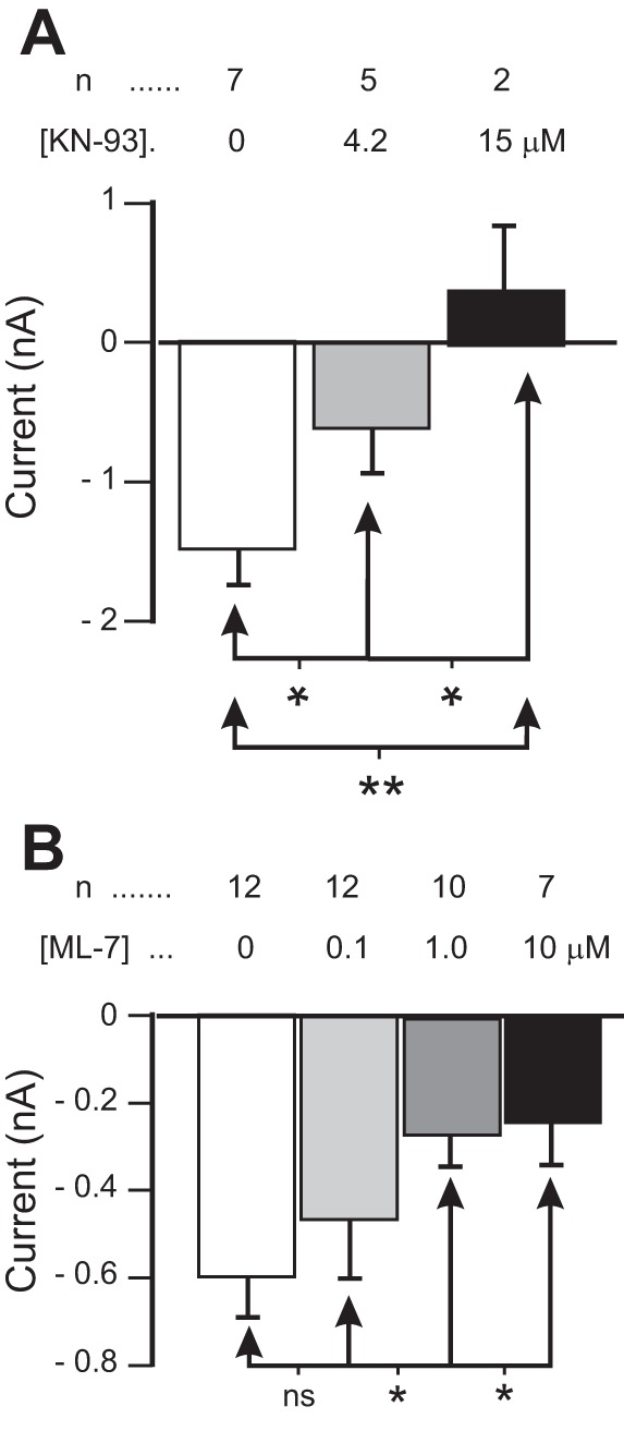 Fig. 6.