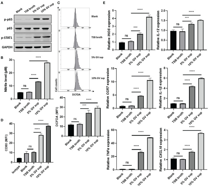 Figure 1