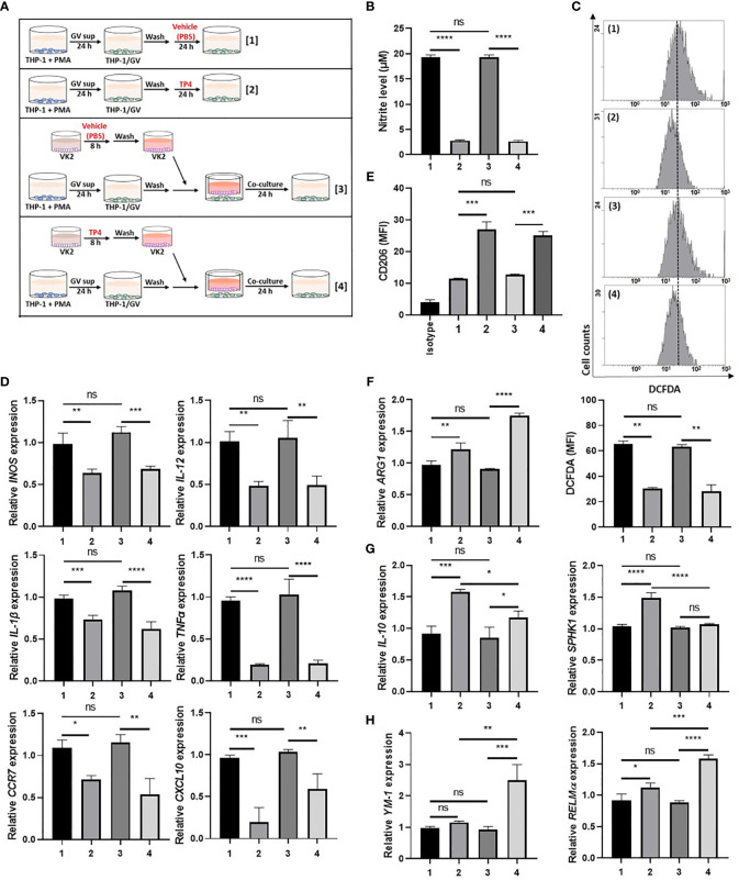 Figure 3