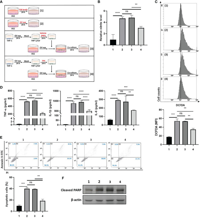 Figure 4