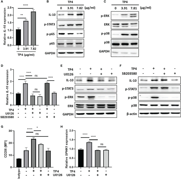 Figure 6