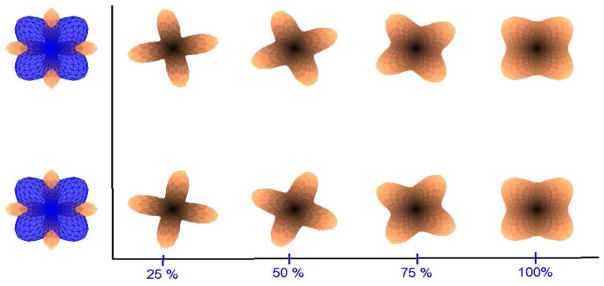 Fig. 12