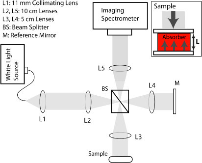 Fig. 1