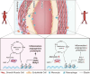 Graphical Abstract