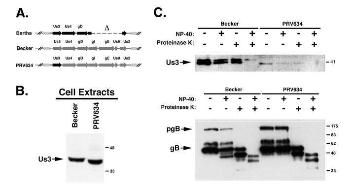 FIG. 8.