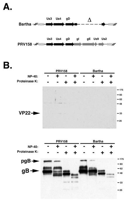 FIG. 10.