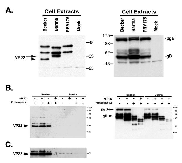 FIG. 9.