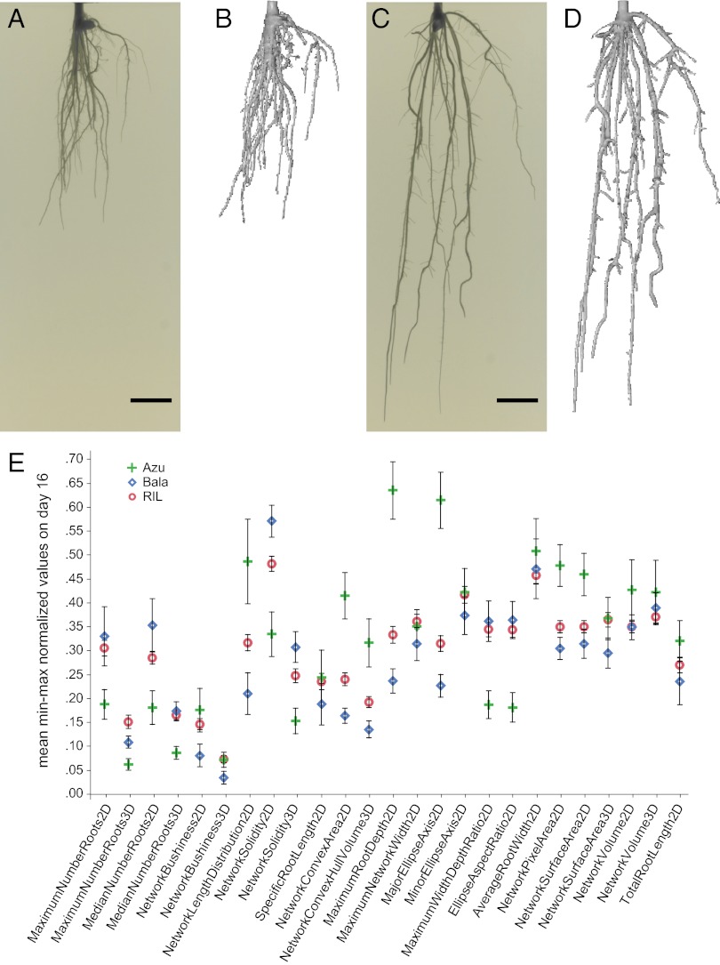 Fig. 2.