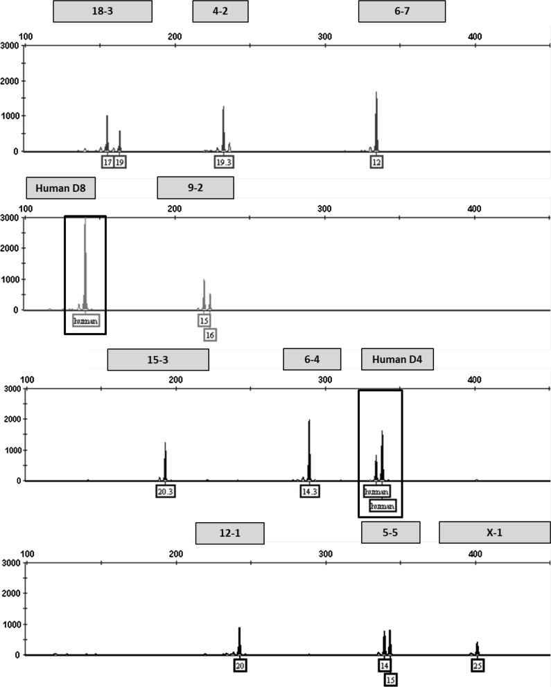 Fig. 2