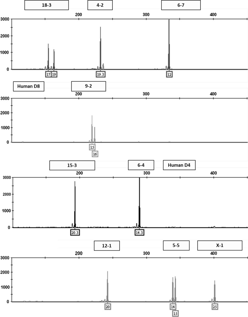 Fig. 1