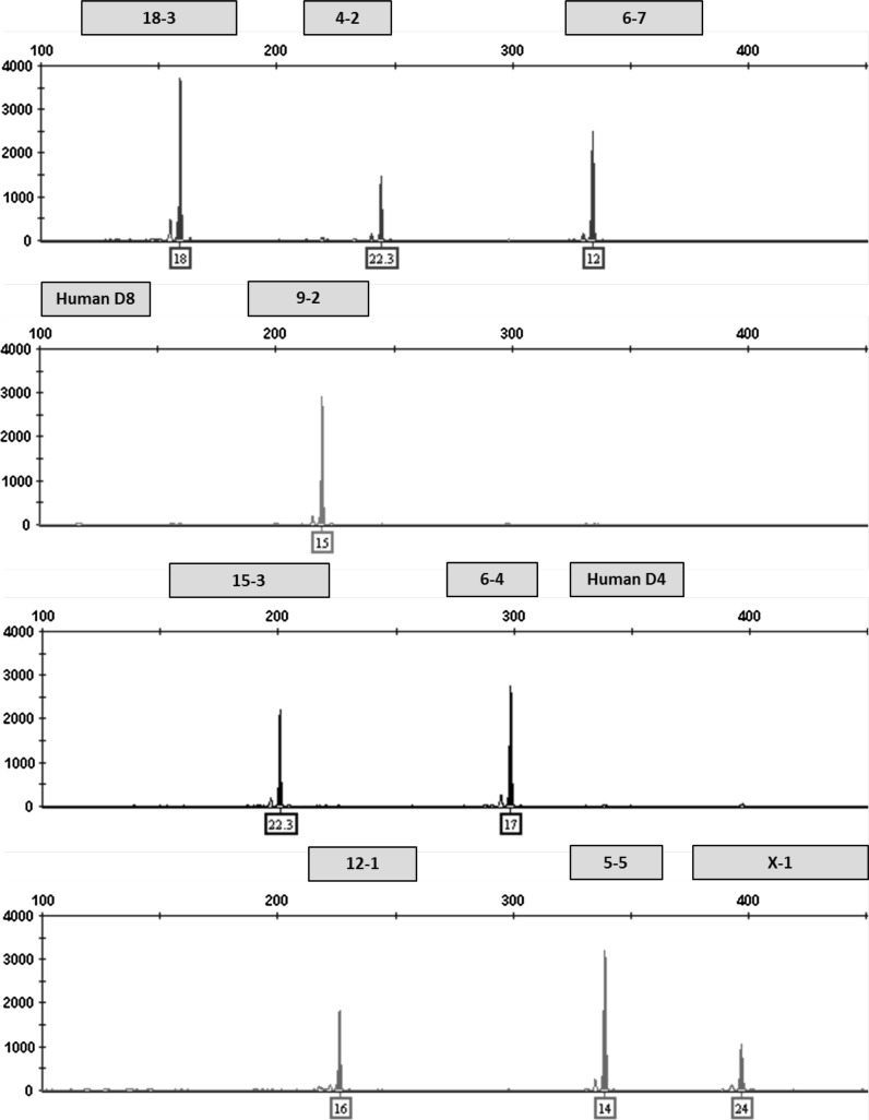 Fig. 3