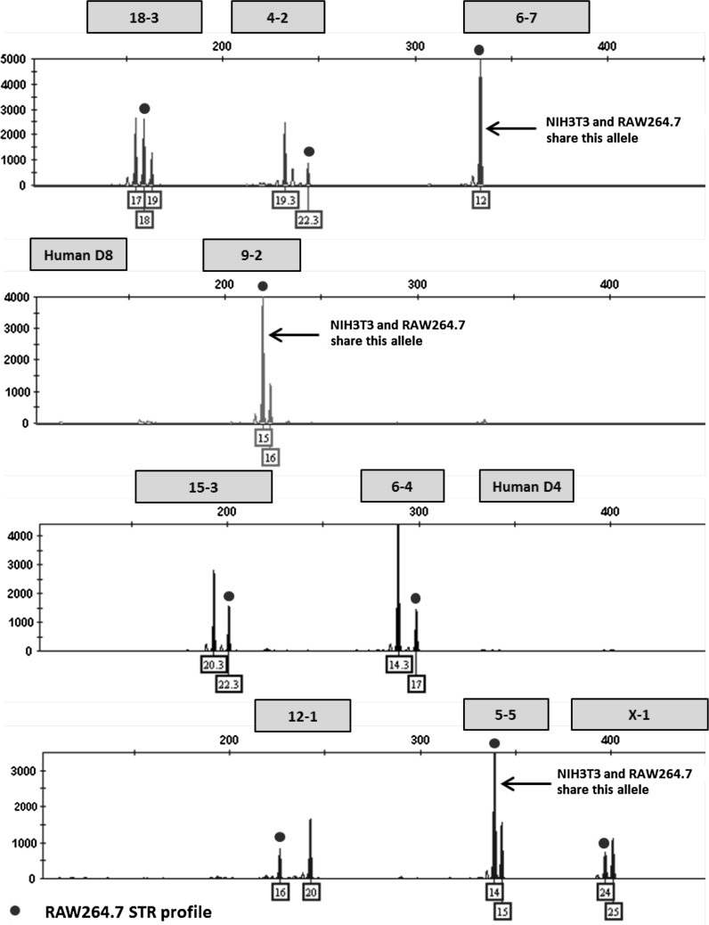 Fig. 4