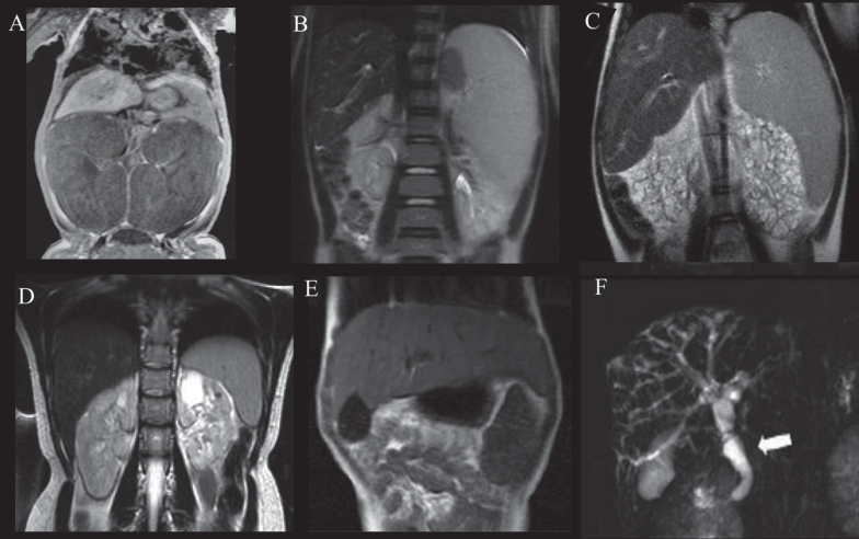 Fig.3