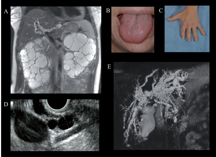 Fig.8