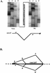 FIG. 5