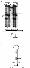 FIG. 6