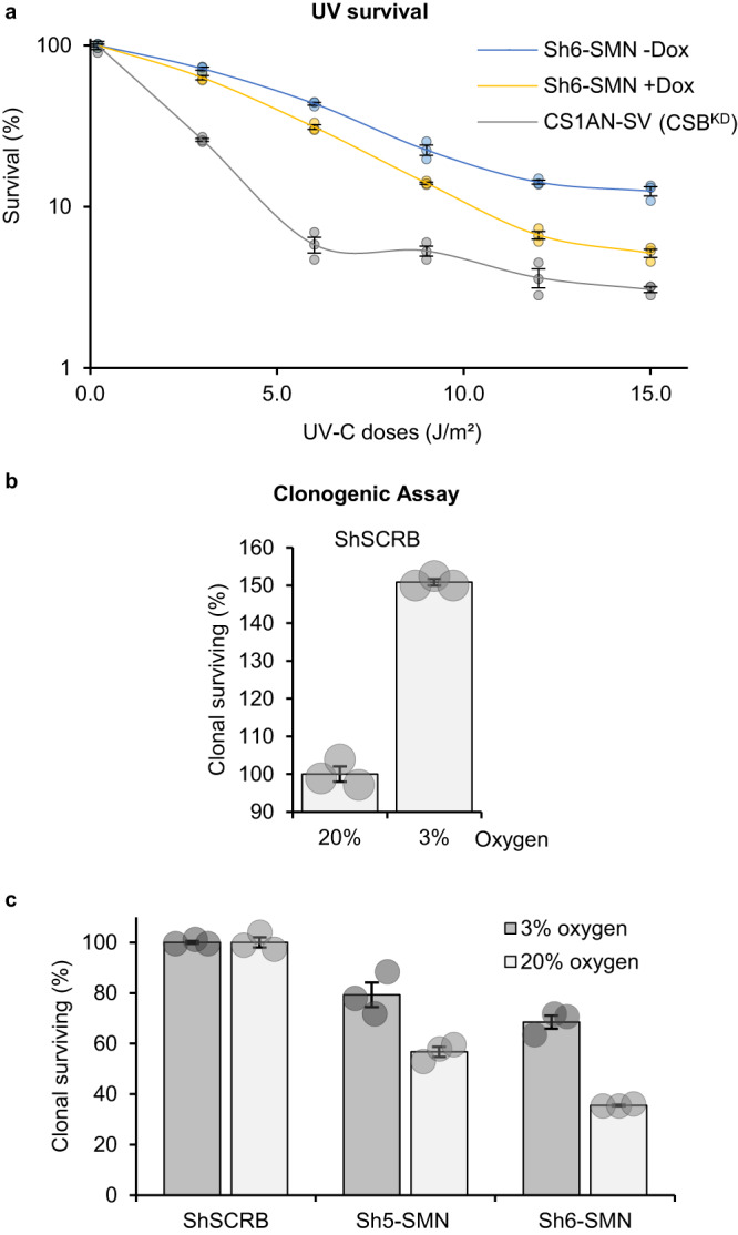 Fig. 8