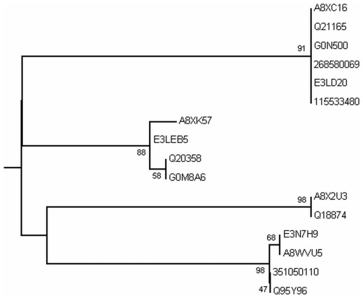 Figure 10