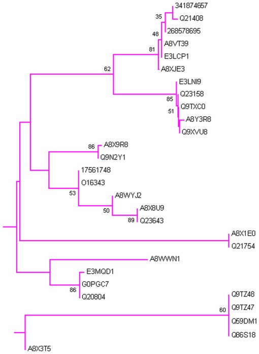 Figure 9