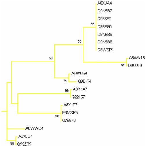 Figure 11