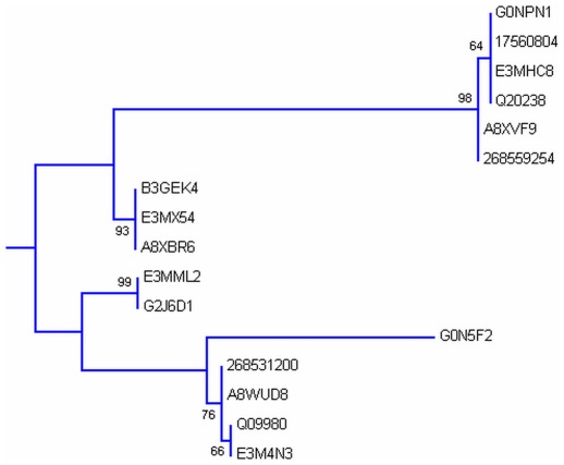 Figure 7