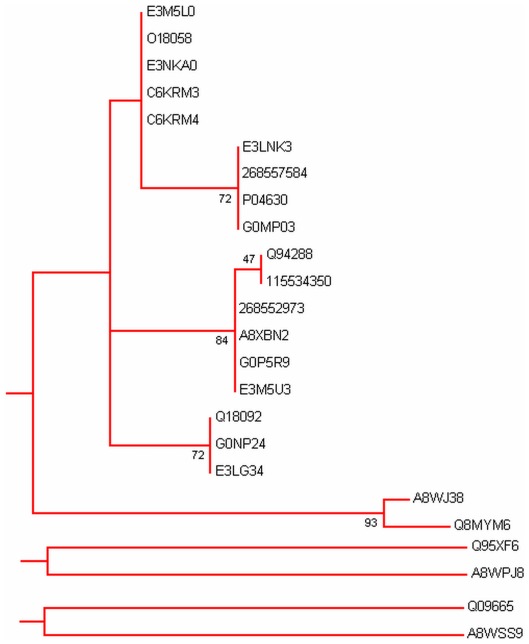 Figure 6