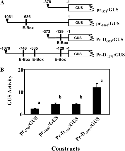 Figure 7.