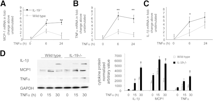 Figure 5