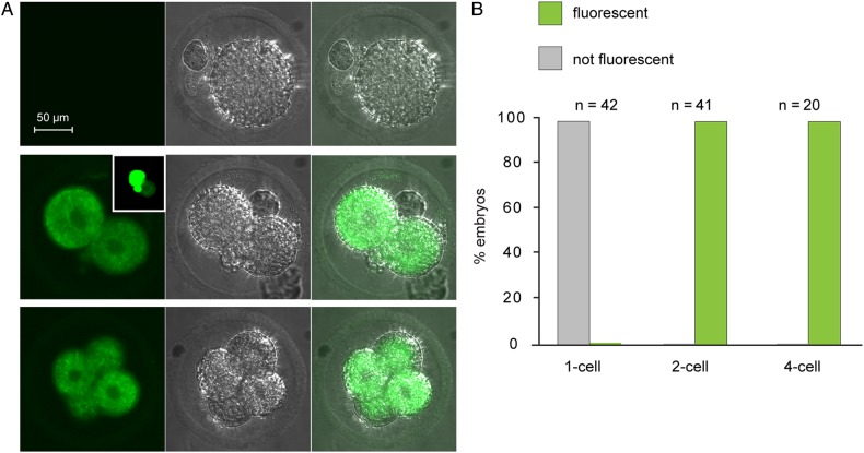 Figure 3