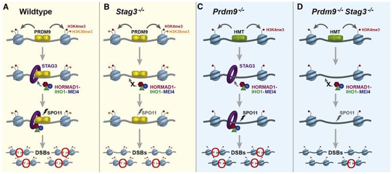 Figure 7.