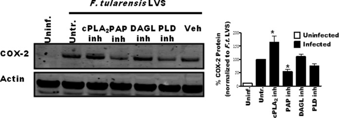 FIG 6