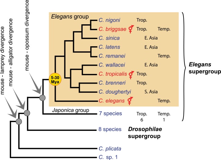 Box 2—Figure 1.