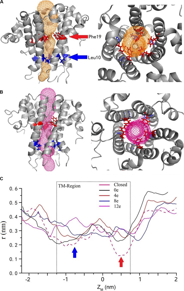 FIGURE 6