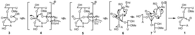 Scheme 2