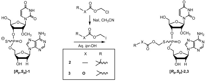 Scheme 1