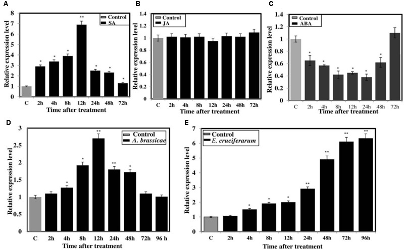 FIGURE 3