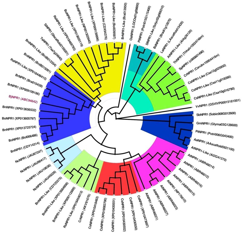 FIGURE 1