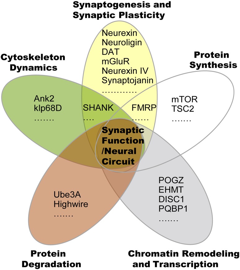 Fig. 1