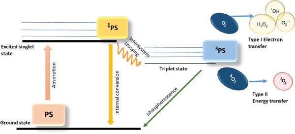 Fig. 1: