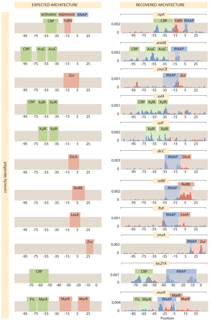 Appendix 2—figure 2.