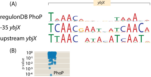 Appendix 3—figure 2.