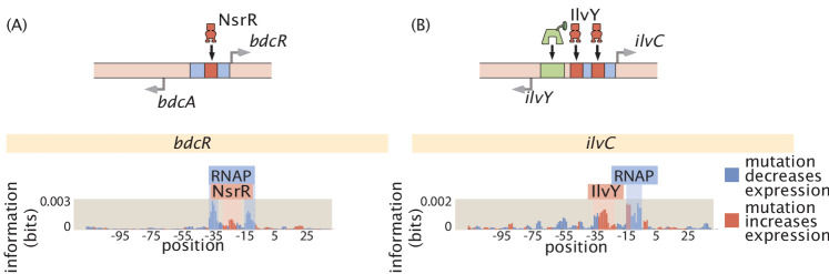 Appendix 4—figure 1.