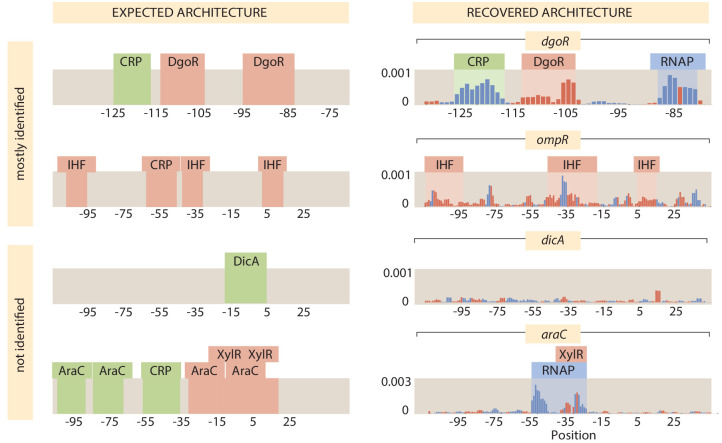 Appendix 2—figure 3.