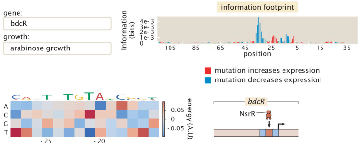 Figure 10.