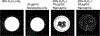 Extended Data Fig. 3 |