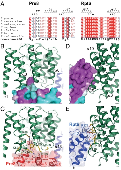 Fig. 5.