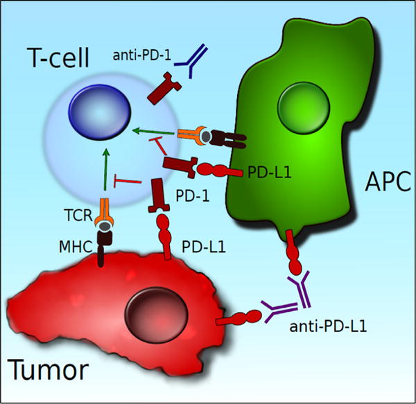 Fig. 2