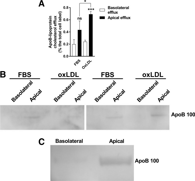 Fig. 8.